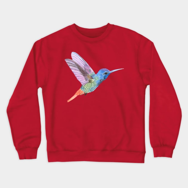 Colorful Colibri Crewneck Sweatshirt by Happy Art Designs